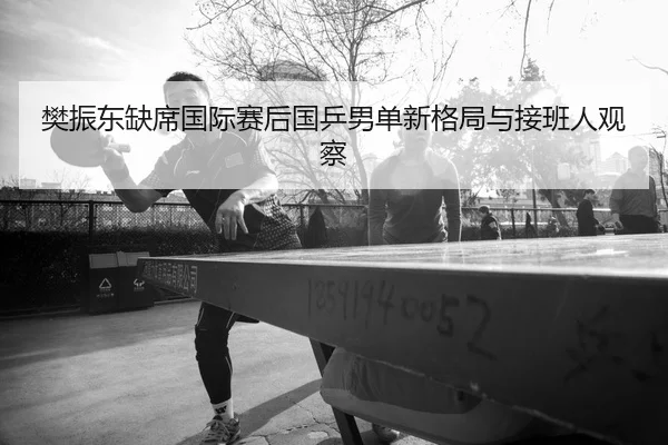 樊振东缺席国际赛后国乒男单新格局与接班人观察