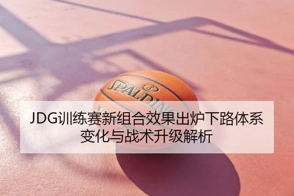 JDG训练赛新组合效果出炉下路体系变化与战术升级解析
